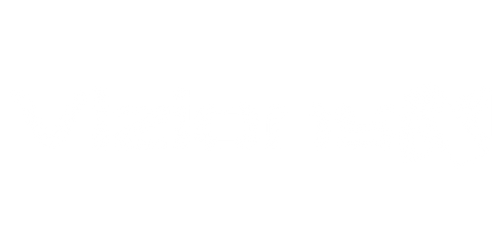 Logo VizionsN